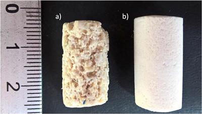 Implementation of Dynamic Neutron Radiography and Integrated X-Ray and Neutron Tomography in Porous Carbonate Reservoir Rocks